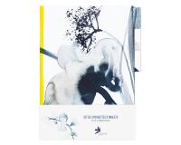 Inkebana, Set de 3 pochettes à onglets 22x31 cm, ass. - Multicolore