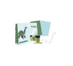 Mini-kit dinosaure - Bleu