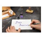 Encre 1670 à paillettes dorées 15ml - Violet Impérial