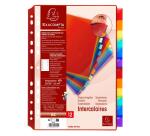 Intercalaires PP transparent couleurs avec porte étiquette A4 12 positions - Couleurs assorties