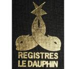 Registre 297X210 Quadrillé 304 pages - Noir toilé