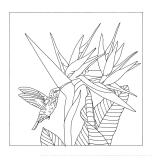 Coussin 100% soie - 40x40cm Colibri - Blanc