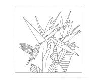 Coussin 100% soie - 40x40cm Colibri - Blanc