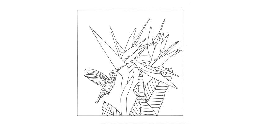 Coussin 100% soie - 40x40cm Colibri - Blanc