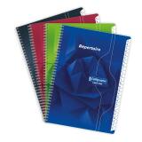 Répertoire reliure intégrale 7000 A4 180 pages petits carreaux 70 g - Assortis