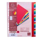 Intercalaires imprimés numériques PP couleurs 12/100e - 31 positions - A4+ - Assorties vives