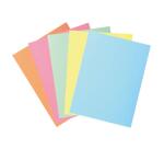 Paquete de 50 Subcarpetas con 2 solapas SUPER 210 g/m2 Exacompta