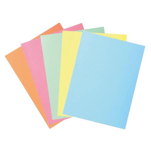 Paquete de 50 Subcarpetas con 2 solapas Super 210 g/m2 - Colores surtidos