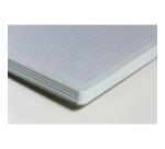 Cahier reliure intégrale A4+ 160 pages détachables perforées 4 trous grands carreaux - Assortis