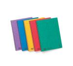 Notemaker Europa cahier reliure intégrale A4 120 pages détachables ligné - Assortiment A