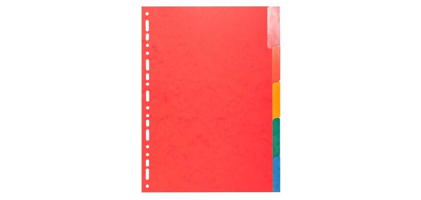 Tabbladen glanskarton 225g met geplastificeerde gekleurde tabs - 5 tabs - A4