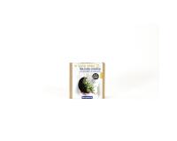 Mini-kit adulte lune