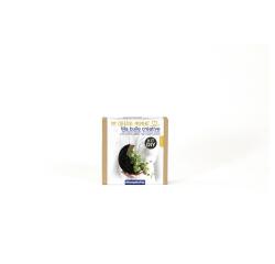 Mini-kit adulte lune