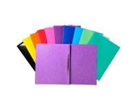 Chemise à lamelle carte lustrée pelliculée 355gm2 Iderama - A4 - Couleurs assorties