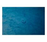 Trieur, A4, carton, 7 compartiments, bleu