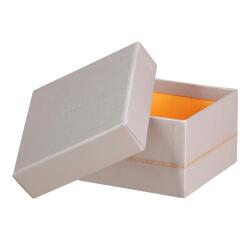 Rhodiarama set 5 boîtes gigognes simili cuir italien 44x34x16 cm - Argent