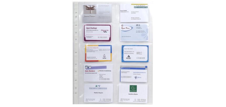 Sachet de 10 pochettes perforées pour cartes de visite 10 emplacements - polypropylène lisse 11/100e - A4 - Cristal