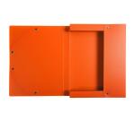 Boite de Classement Exabox Dos 25mm polypropylène 7/10e OPAK - A4