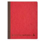 Piqûre 220X170 Recettes-dépenses 80 pages - Couleurs assorties