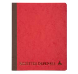 Piqûre 220X170 Recettes-dépenses 80 pages - Couleurs assorties