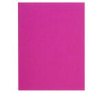FLASH 220 Pak van 100 mappen -100%gerecycleerd - 24x32cm