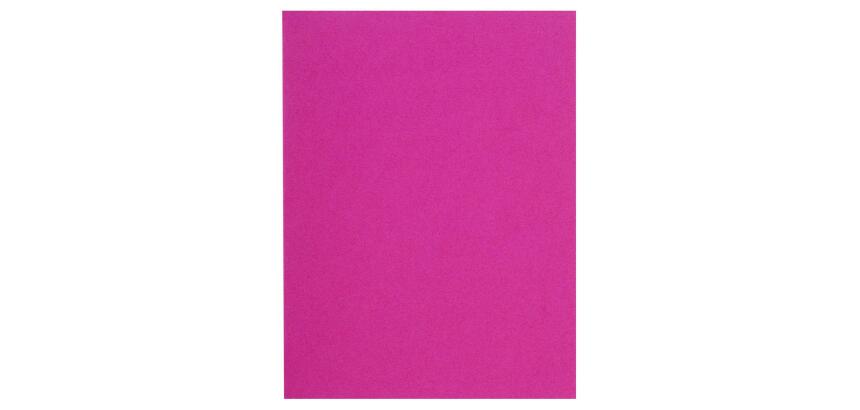 FLASH 220 Pak van 100 mappen -100%gerecycleerd - 24x32cm