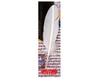 Plume d'oie taillée sur broche