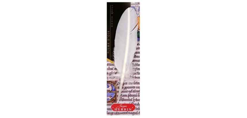 Plume d'oie taillée sur broche