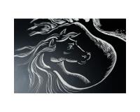 Carte à Gratter paquet 5F 50x65cm 520g - Noir