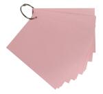 Paquet de 50 Flashcards sous film + anneau - bristol dots perforé - Format A6