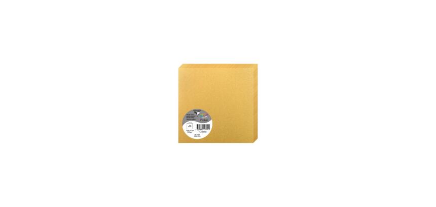 Paquet de 25 cartes pliées Pollen 135x135mm 210g/m²
