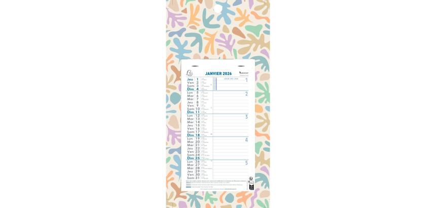 Calendrier mensuel décor Papier avec feuillets détachables 13 x 23 cm sur support plaque imprimée 16 x 33 cm 2026 - Couleurs assorties