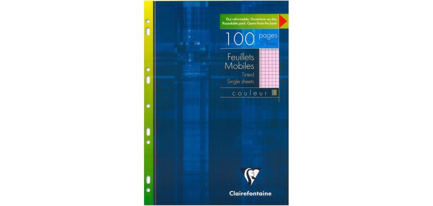 Feuillets mobiles de couleur sous étui A4 100 pages perforées petits carreaux