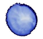 Cernit encre à l'alcool 20 ml Saphir - Saphir