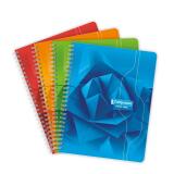 Cahier reliure intégrale 7000 17x22 cm 100 pages grands carreaux 70 g - Assortis