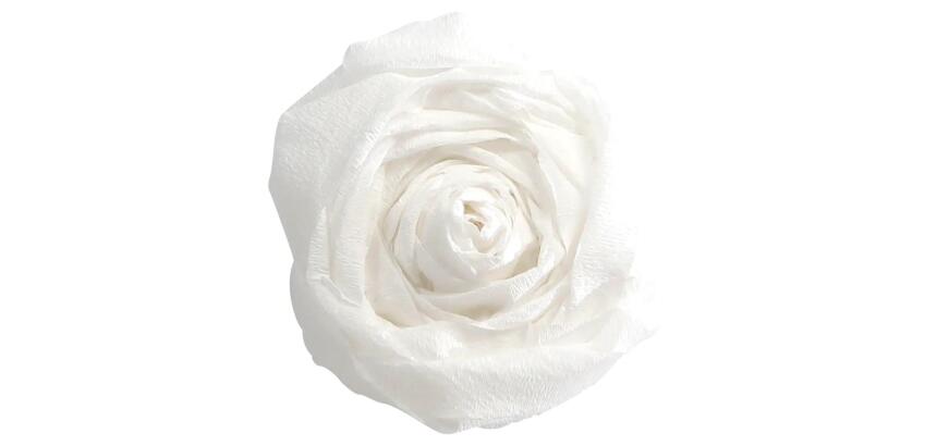 PAPIER CRÉPON, Paquet de 10 feuilles pliées 40% au format 2x0,50m