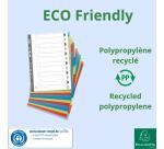 Dividers Forever PP A4 12 Part - Assorted colours