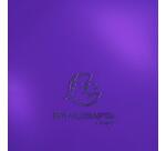 Boite de classement en polypropylène Dos 40mm Iderama PP - A4