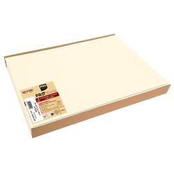 Box of 100 spunbond placemats, plain - Format 30x40cm