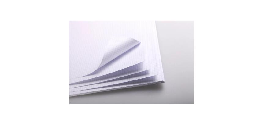 Bristol rame 125F 50x65cm 205g feuilles quadrillées 5/5