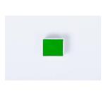 Aquarelle extra-fine demi-godet - Vert de vessie