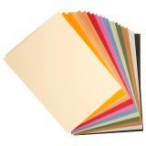 Tulipe rame 24F A3 160g - Assortiment pastel