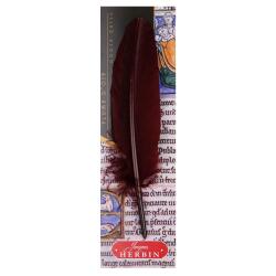 Plume d'oie taillée sur broche