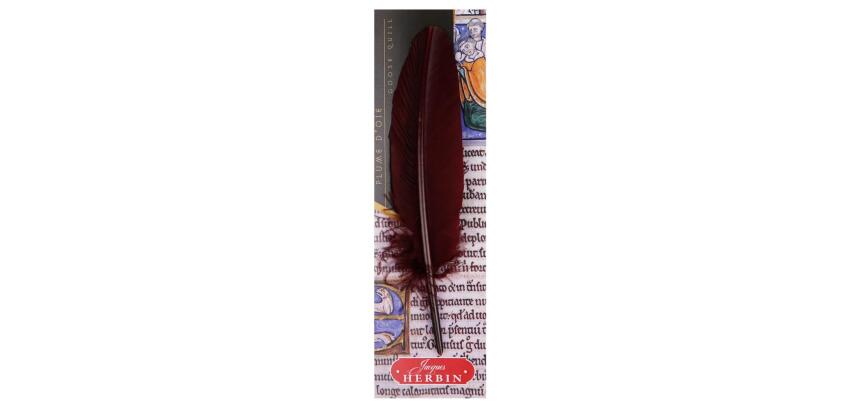 Plume d'oie taillée sur broche
