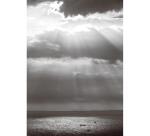 SET DE CORRESPONDANCE THÉMATIQUE, 8 enveloppes Pollen C6 (114x162mm) 120g + 8 cartes pliées 110x155m 185g, Condoléances