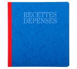 Piqûre 21x19cm recettes-dépenses 80 pages - Couleurs assorties