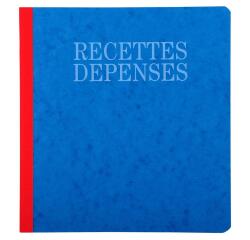 PIQ. 21/19 RECETTES-DEPENSES 80 PAGES - Assorted colours