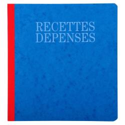 PIQ. 21/19 RECETTES-DEPENSES 80 PAGES - Assorted colours