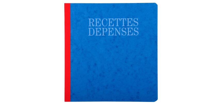 Piqûre 21x19cm recettes-dépenses 80 pages - Couleurs assorties