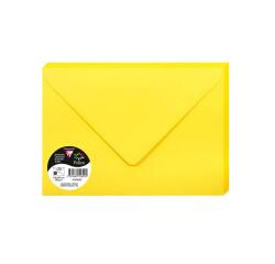 Paquet de 20 enveloppes Pollen 162x229mm 120g/m²